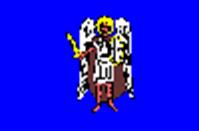 image027