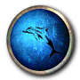 dolphin dolphin